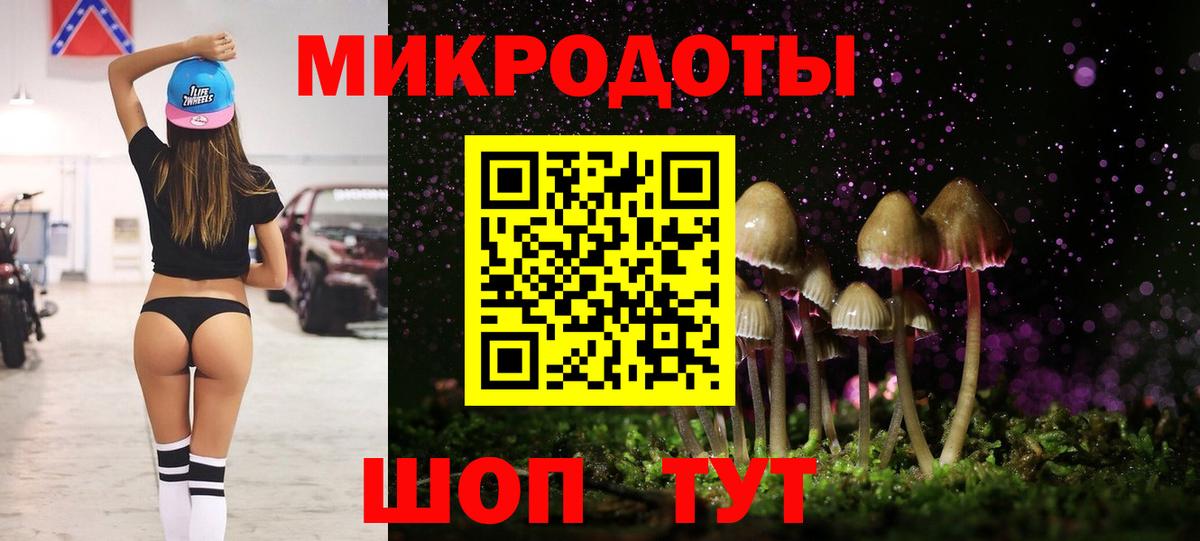 Псилоцибиновые грибы Cubensis Алапаевск