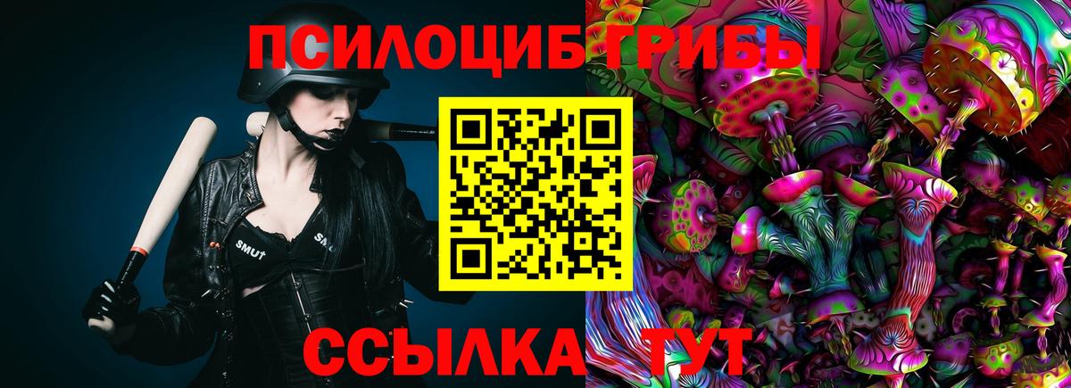 купить наркотики цена  Вход с VPN  Псилоцибиновые грибы Psilocybe  Алапаевск  Галлюциногенные грибы ЛСД 