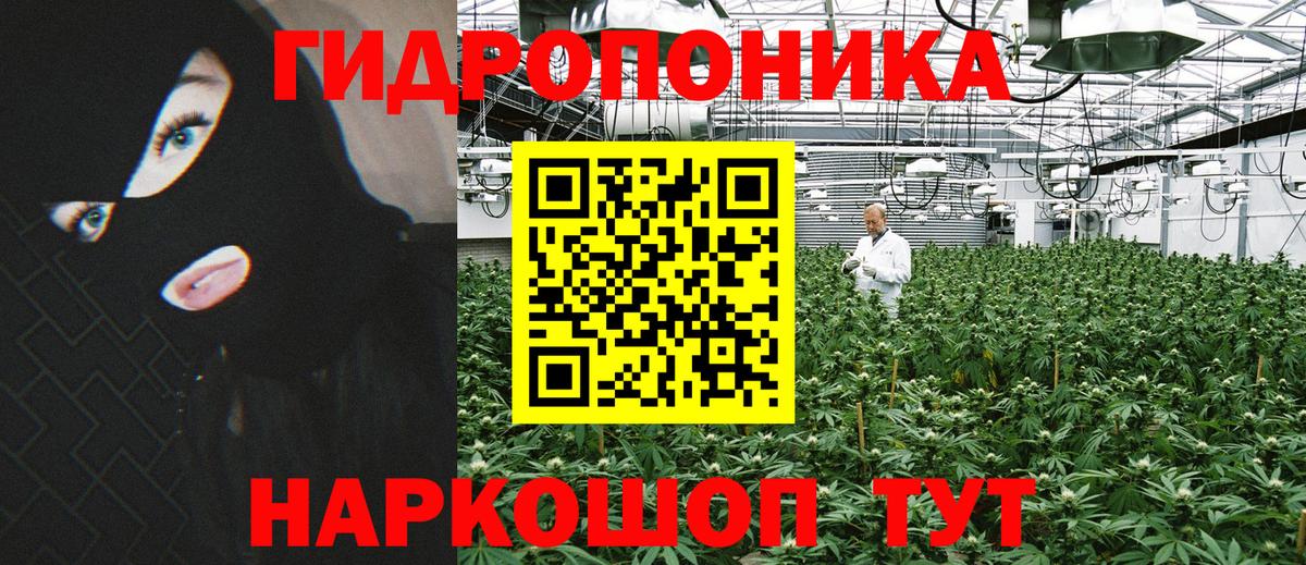Алапаевск  Бошки Шишки MAZAR  Вход с VPN  Шишки марихуана Bruce Banner  Марихуана планчик  Каннабис план 